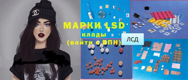 стаф Кулебаки