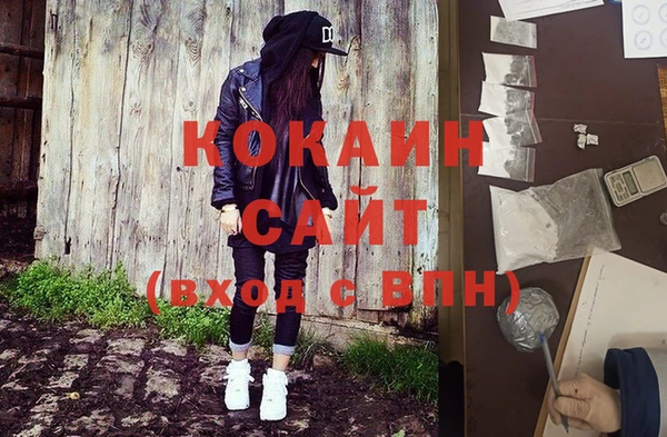 стаф Кулебаки