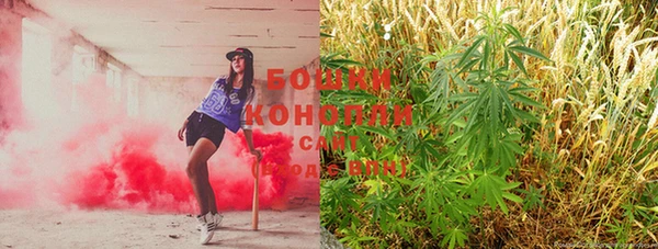 стаф Кулебаки